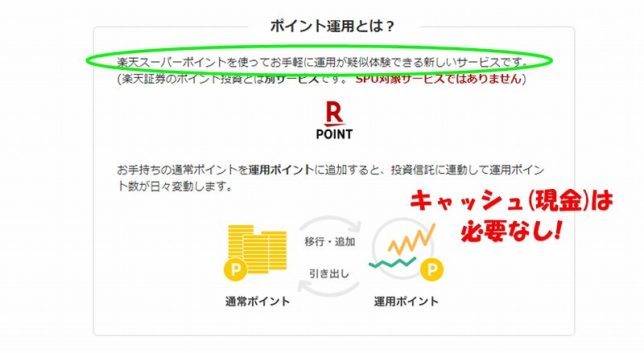ポイント運用とは?